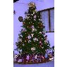 Weihnachtsbaum von Familia Martinez Cordova (Punto fijo-falcon, Venezuela)