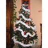 Cris's Christmas tree from Zaragoza, Espa�a