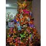 Familia Negrette Gutierrez's Christmas tree from Maracaibo, Venezuela