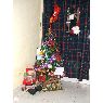 Elizabeth Achino's Christmas tree from Buenos Aires, Argentina