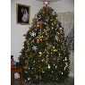 Weihnachtsbaum von Mary Ayon (Tijuana, Baja California, M�xico)
