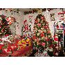 Sapin de No�l de Soledad Huayllane (Lima, Per�)