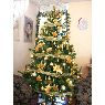 Weihnachtsbaum von Maria (Valencia, Edo. Carabobo. Venezuela)