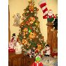 Luis Javier Camacho Manriquez's Christmas tree from M�xico