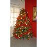 Desiree de los Angeles Molero Quintero's Christmas tree from Venezuela
