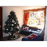 Sandra Milena Martinez Astudillo's Christmas tree from Colombia