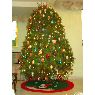 Berenice Rub�'s Christmas tree from M�xico DF