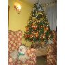Sapin de No�l de Audolia Rojas (Iquique, Chile)
