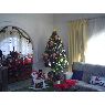 Virdiana Espino's Christmas tree from Puebla