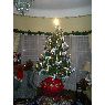 Weihnachtsbaum von Chicha (Vi�a del Mar, Chile)