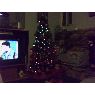 Alejandro's Christmas tree from USA