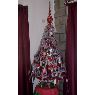 Eduardo P�rez's Christmas tree from Buenos Aires, Argentina
