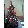 Jennifer Casta�eda's Christmas tree from Sucre, Venezuela