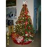 Marcos Fernando Chan Le�n's Christmas tree from Herrera, Panam�