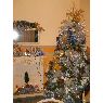 Alba de Gomez's Christmas tree from SAN CRIST�BAL, VENEZUELA
