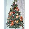Griselda Mendoza's Christmas tree from Barquisimeto,Venezuela