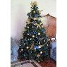 Weihnachtsbaum von Lucia Berenguer (Montevideo, Uruguay)