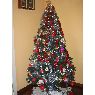 Nazareth y Celia's Christmas tree from Cantabria, Espa�a