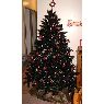 Larrigan's Christmas tree from Aude, France