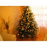 Blanca Lemus Vallejos's Christmas tree from Iquique, Chile