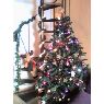 Sara, Linda y Eva's Christmas tree from M�laga, Espa�a