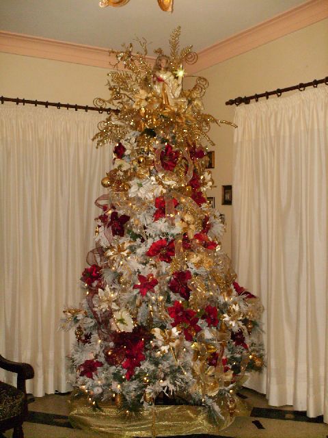 Milagros Valera (Barinas, Venezuela)