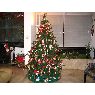 Janneth Colorado B's Christmas tree from Quito, Ecuador