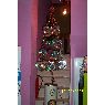 Isabel's Christmas tree from C�RDOBA