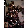 Sapin de No�l de Edy de Linarez (Barquisimeto, Venezuela)