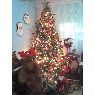 Marilu Garc�a (Familia Veroes Garc�a)'s Christmas tree from Moron, Carabobo, Venezuela