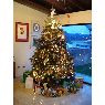 Weihnachtsbaum von Gaby de R�os (Caracas, Venezuela)