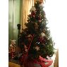 Monica Medina's Christmas tree from Bogot�, Colombia