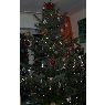 Kammerer M.'s Christmas tree from Hallerndorf, Deutschland