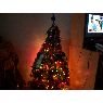 Griselda Cubilla's Christmas tree from Entre R�os, Argentina