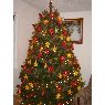 Sapin de No�l de Miguel Melgarejo (Xalapa, Veracruz, Mexico)