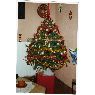 moise's Christmas tree from belgique
