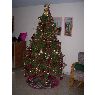 Sapin de No�l de Simara ,Daniela y Emily (Pto Ordaz, Venezuela)