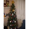 Paloma Reguera N��ez's Christmas tree from Ponferrada, Le�n, Espa�a
