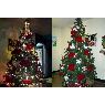 Familia Tablante Goyo's Christmas tree from Venezuela