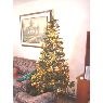 Rosalba Elena Cogoyo A.'s Christmas tree from Medell�n, Colombia