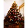 Sapin de No�l de Familia Guevara Perez (Caracas, Venezuela)