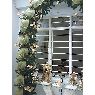 Maria Paulina Zapata's Christmas tree from Colombia