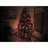 Jessika Pires's Christmas tree from Portuguesa, Venezuela