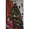 Sapin de No�l de Cosse (Colmar, France)