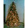 Sapin de No�l de Okarena (Monagas, Venezuela)