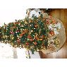 Weihnachtsbaum von Paula Santillana (Madrid, Espa�a)