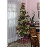 Carmen D�az P�rez's Christmas tree from La Palma, Canarias, Espa�a