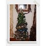 Victoria Fern�ndez Fern�ndez's Christmas tree from Cantabria, Espa�a