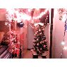Miguel �ngel's Christmas tree from Sevilla, Espa�a