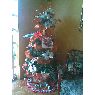 Familia Gonz�lez Matheus's Christmas tree from Maracaibo, Venezuela